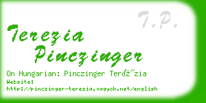 terezia pinczinger business card